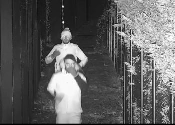 Nga dy grabitje çdo natë, shqiptarët fotografohen rrugëve të Spanjës pas mesnate (Video)