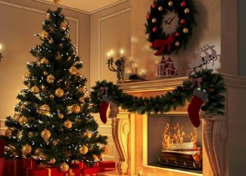 Zgjidhni një nga pemët e Krishtlindjeve dhe zbuloni detaje për karakterin tuaj