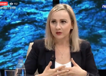 Këshilli Kordinues: Ja si funksionon, “Diaspora është një dritare e re”