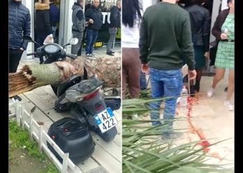 Këputet dega e palmës në bulevard, plagosen dy persona në Durrës (Video)