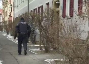 Planifikonte sulm terrorist për Krishtlindje, arrestohet 20-vjeçari shqiptar në Vjenë