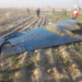 Tragjedi ajrore, avioni ukrainas rrëzohet në Iran, të paktën 176 të vdekur