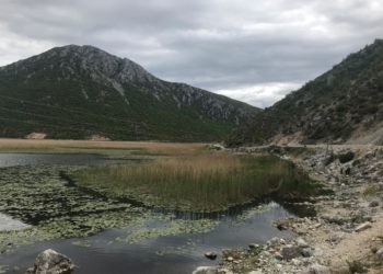 Nga perlë e natyrës, në kënetë! Çfarë po ndodh me Liqenin e Prespës së Vogël