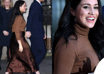 Duan pavarësi financiare, Harry e Meghan heqin dorë nga statusi mbretëror