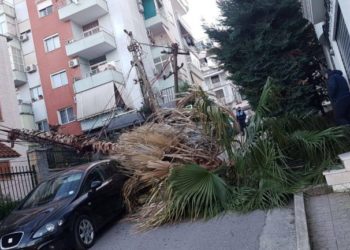 FOTO/ Era e fortë rrëzon edhe shtyllat e energjisë elektrike, këputet fideri në Selitë të Tiranës
