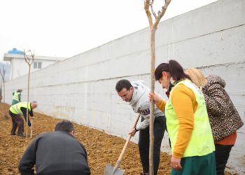 Mbillen 100 pemët e para në aksin Kombinat-Vaqarr, tre lagje të reja në Tiranë