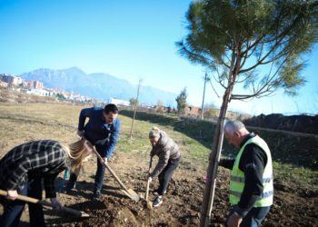100 pemë të reja përgjatë Lumit të Tiranës, Veliaj: Partitë e rëna nga vakti s’mund ta mbajnë më peng Tiranën