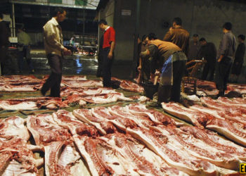 U përhap nga një dyqan mishi, shkon në 200 numri i të infektuarve me virusin vdekjeprurës në Kinë