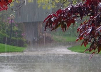 Java që vjen do dominohet nga shirat, Shërbimi Meteorologjik: Të mërkurën priten shtrëngata dhe stuhi