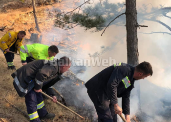 VIDEO/ Zjarri në Skëndërbegas të Gramshit, në flakë plotë 15 Ha pyje e kullota