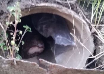 FOTO/ Policia u gjeti 2.4 kg heroinë të fshehur në tubacionin e ujërave të zeza, pranga 3 shqiptarëve në Greqi