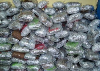 U kapën me 800 kg drogë brenda furgonit frigoriferik, arrestohen dy shqiptarë në Igumenicë