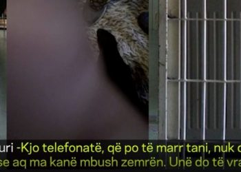 Burgu i Peqinit/“Do të vras veten”! Rrëfimi drithërues i të burgosurit