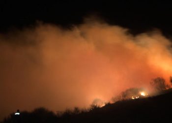Vlorë/Zjarr në fshatin Risili, po digjet një sipërfaqe me ullishte