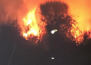 Vlorë/Zjarr në fshatin Risili, po digjet një sipërfaqe me ullishte