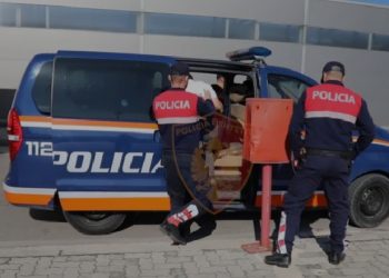 Pranga dy të rinjve në Vlorë, njëri ishte në kërkim për drogë dhe tjetri vidhte shinat e trenit