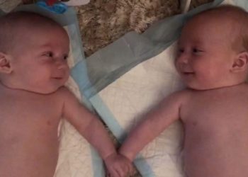 VIDEO/ Të kapur për dore, thyen rrjetin video e binjakëve 4-muajsh që njohën njëri-tjetrin në shikim të parë