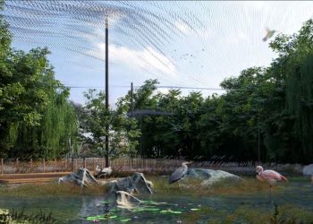 FOTO / Si do të transformohet Kopshti Zoologjik i Tiranës