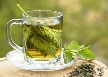 Njihet si “bima e rinisë”, ushqen, rigjeneron dhe kthen kolagjenin në lëkurë