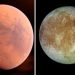 Në hënën e Jupiterit ka jetë aliene, shkencëtarja britanike: Janë krijesa të ngjashme me “oktapodët”