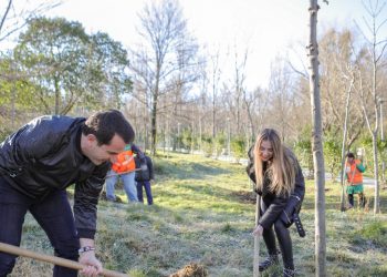 Veliaj jep lajmin e mirë pas mbjelljes së pemë pemëve te Liqeni: Akademia e Arteve do trefishojë hapësirat