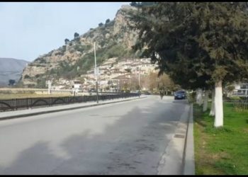 COVID-19/ “Fryhen” çmimet në Berat, 320 lekë 1 kg limon, ja çmimet për dezinfektantët dhe maskat!