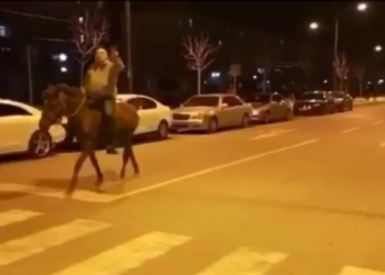FOTO/ Kukës, opozitari me kalë kundër koronavirusit