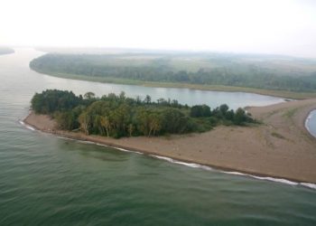 Bashkia e Divjakës qetëson qytetarët: Lumi Shkumbin nuk ka dalë nga shtrati, strukturat në gatishmëri