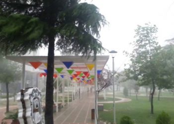 Reshjet e shiut/ Prefekti i Elbasanit: Nuk ka përmbytje, jemi në monitorim të vazhdueshëm