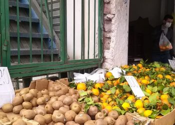 AKU, thirrje tregtarëve: Mbulojini frutat dhe perimet me qese