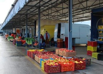 Abuzuan me çmimet e fruta-perimeve, procedohen penalisht 4 persona
