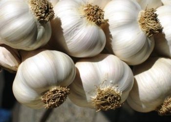 BBC publikon listën me këshilla të rreme mjekësore ndaj Covid-19: Mos bini pre e tyre!