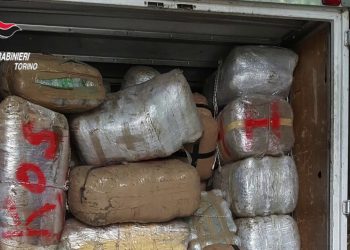 Trafikimi i 4.5 ton marijuane dhe kokaine, shkatërrohet në Itali grupi i shqiptarëve