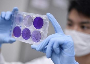 Nga origjina, përhapja masive e deri te vaksina/ Çfarë dimë dhe çfarë nuk dimë për koronavirusin