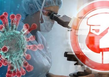 532 testime për koronavirus deri më tani në Shqipëri. Mes tyre mjekë, deputetë e fëmijë (Të dhënat e ISHP)