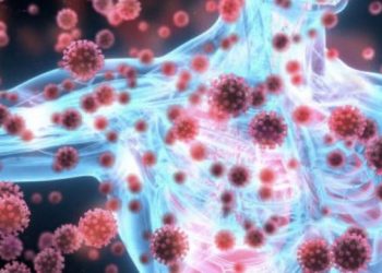 Detajet e Covid-19 në Mal të Zi/ Njëra nga gratë ishte nga Ulqini, tjetra nga Podgorica. Ja ku udhëtuan!