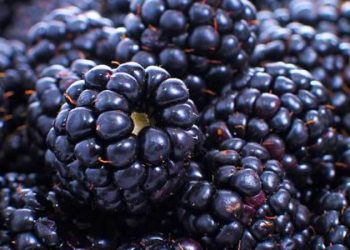 Mund të hani sa të doni… Këto janë 10 ushqimet që nuk ju shëndoshin