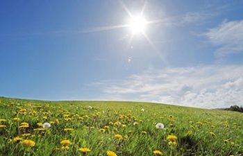 Faktet dhe mitet mbi koronavirusin/ A do ta ulë moti i ngrohtë numrin e infeksioneve?