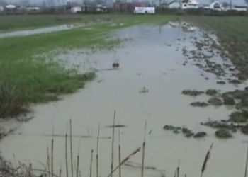 Reshjet e dendura të shiut/ Lumi Ishëm del nga shtrati dhe vërshon në zonën e Fushë-Krujës