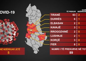 U raportua si viktima e pestë/ MSH: 61-vjeçari në vdekje klinike