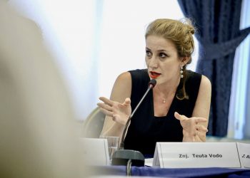 Në kërkim të Zho-së