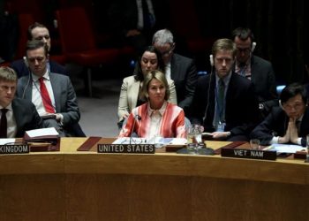 SHBA: E mbështesim krejtësisht Turqinë në reagimin ndaj regjimit te Asad