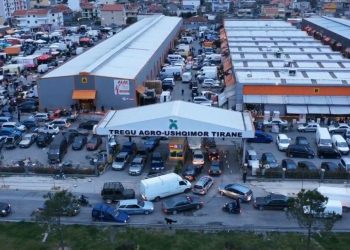 Të gjithë për furnizim! Shikoni çfarë bëhet te Tregu Agro-Ushqimor në Tiranë (Foto)