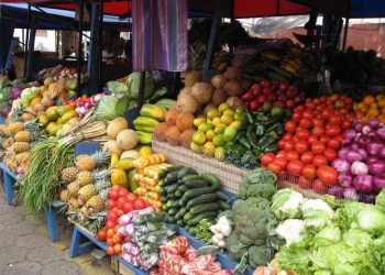 Fermerët: Prisnim plan shpëtimi, pezullimi i eksporteve na detyroi të shesim nën kosto