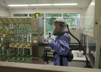 Covid-19/Shkencëtarët: Ja si do të ndikojë rihapja tek epidemia!