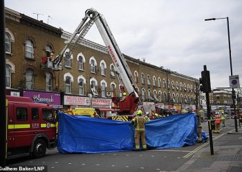 U infektua nga koronavirusi, të sëmurin obez e nxjerrin nga banesa me vinç (Foto)