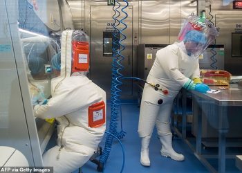 “Burimi origjinal”/ SHBA i dha laboratorit në Wuhan 3.7 milionë dollarë për eksperimentet tek lakuriqet e natës?!