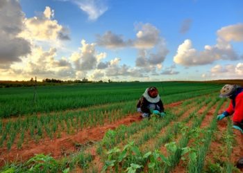 Doni të punoni në Greqi? Rama sqaron për herë të parë si do të bëhet lëvizja dhe kush do t’i hartojë listat
