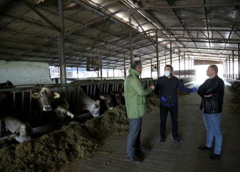 Çuçi: 70% e fondeve të Skemës Kombëtare do shkojnë për blegtorinë, aplikimet nisin brenda një muaji