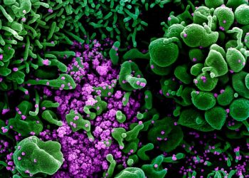 Zbulohet “motori” i covid-19 që i jep mundësinë të shumohet. Shkenca: Kjo ndihmon në gjetjen e ilaçit